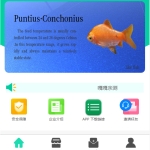 养鱼金融投资理财源码 支持商城 抽奖 投资收益余额宝等！ 双语言支持中英文