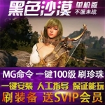 黑色沙漠单机版一键100级，已开启GM命令、100%强化